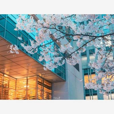 立创新标杆 破内卷出海 | 菲尼克...